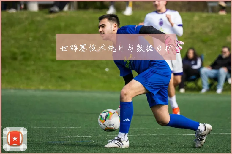 世锦赛技术统计与数据分析